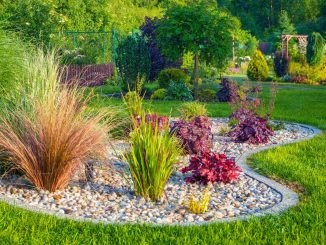 Comment bien décorer son jardin avant l'hiver