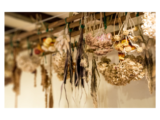 Comment faire sécher des fleurs ?