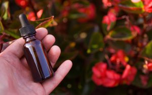 Comment bien utiliser les fleurs de bach ?