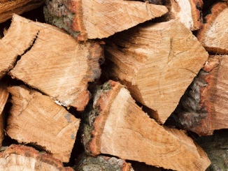 Où peut-on trouver du bois de chauffage pas cher en ce début d'hiver 2022 ? 