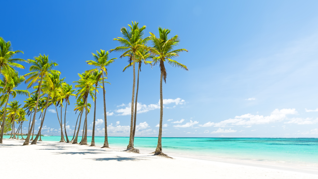 Quelle est la meilleure période pour partir à Punta Cana à petit prix ? 