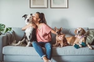 Les 4 conseils pour choisir son animal de compagnie