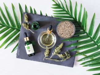 Les meilleurs moyens de consommation du CBD