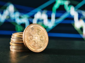 Les différentes cryptomonnaies