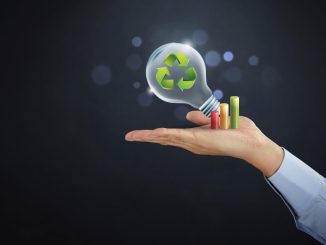 Les 6 habitudes à prendre pour devenir plus écolo