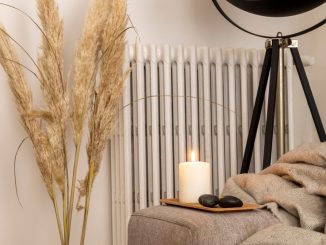 Comment décorer une chambre d’étudiant ?