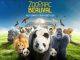 Zoo de Beauval : tout savoir sur le plus beau zoo de France